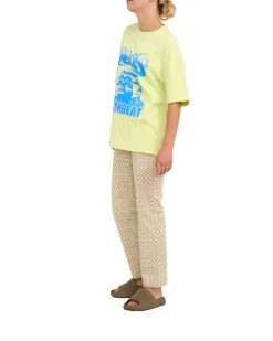 Dxw Earthbeat Tee - Luminary Green
