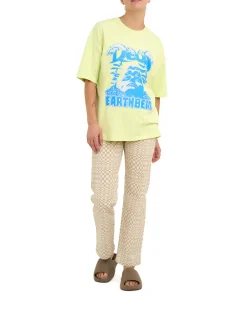 Dxw Earthbeat Tee - Luminary Green