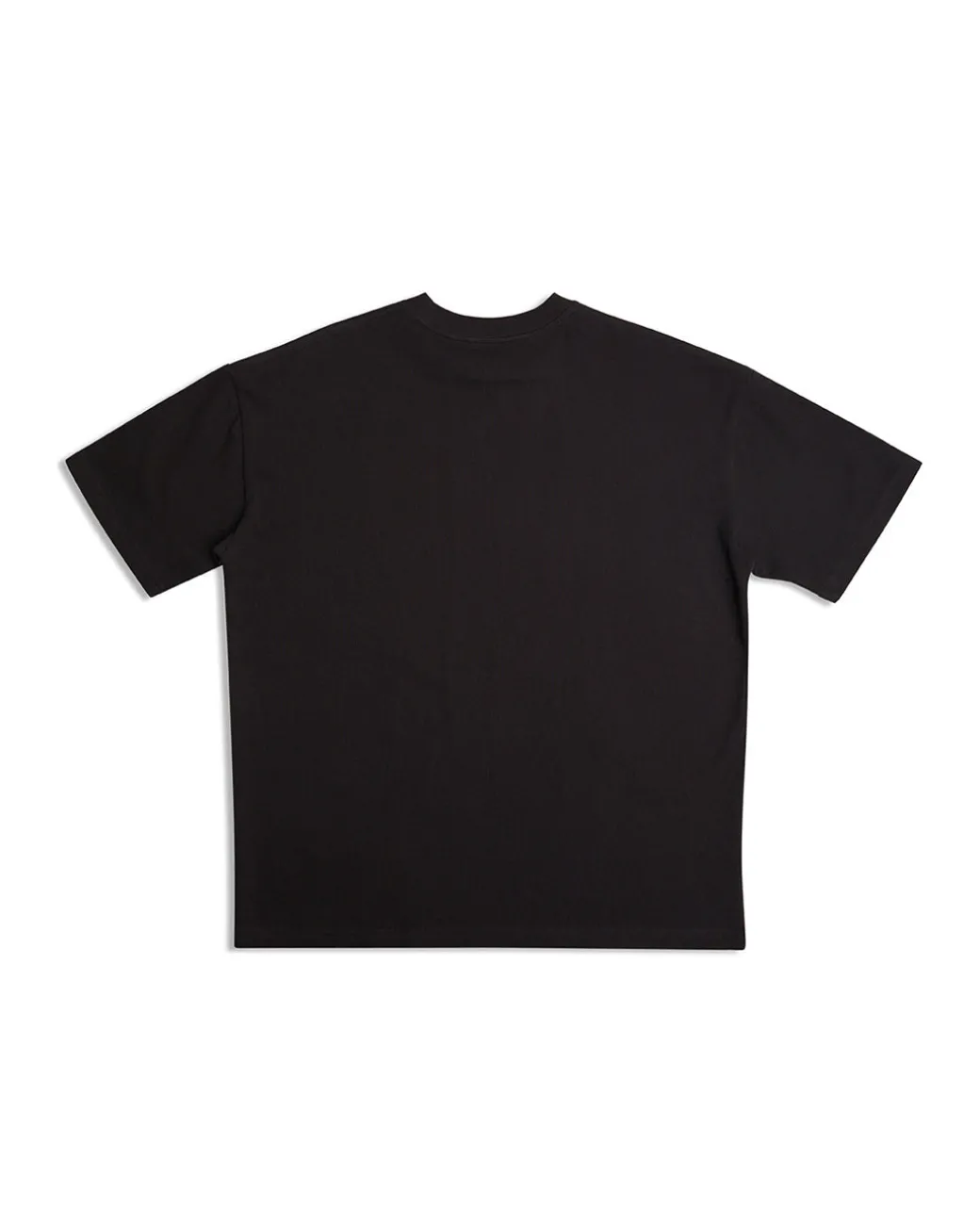 Dxw Fungus Tee - Anthracite