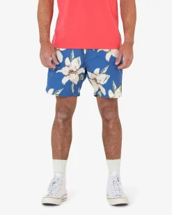 Havana Boardshort (Mesh) - Blue