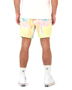Loaded Boardshort (17 Inch) - Multi