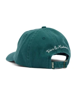 Paradigm Dad Cap - Forest Biome