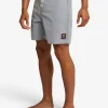 Pulse Acid Boardshort - Light Grey