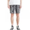 Snake Eyes Beach Short - Titanium